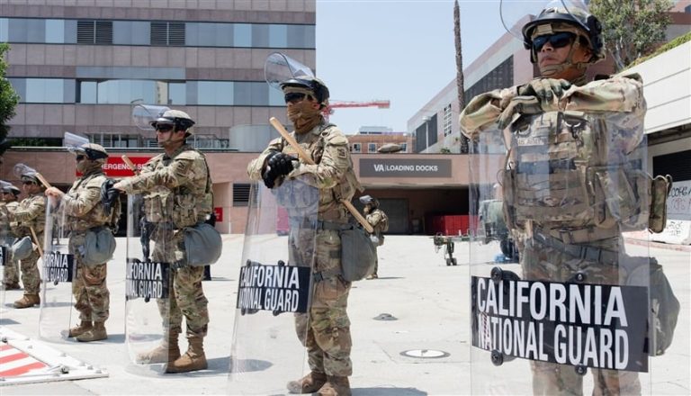 صورة المقالة