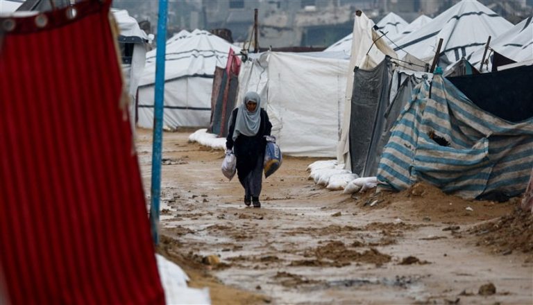 صورة المقالة