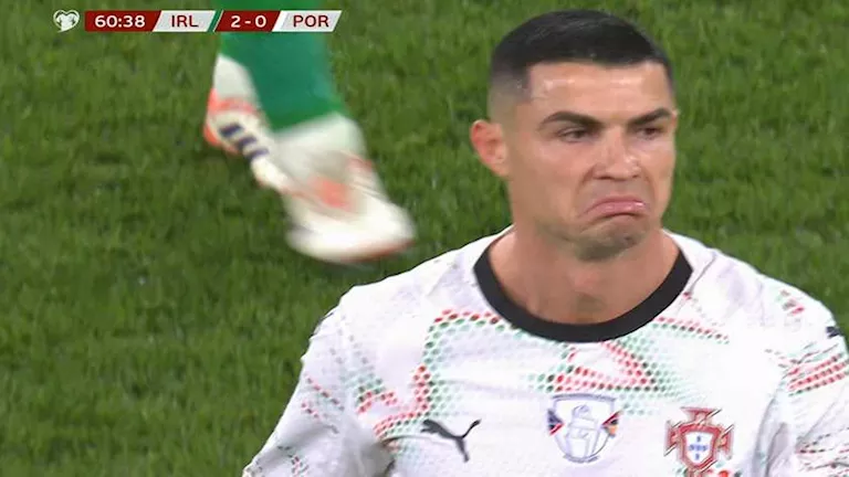 صورة المقالة