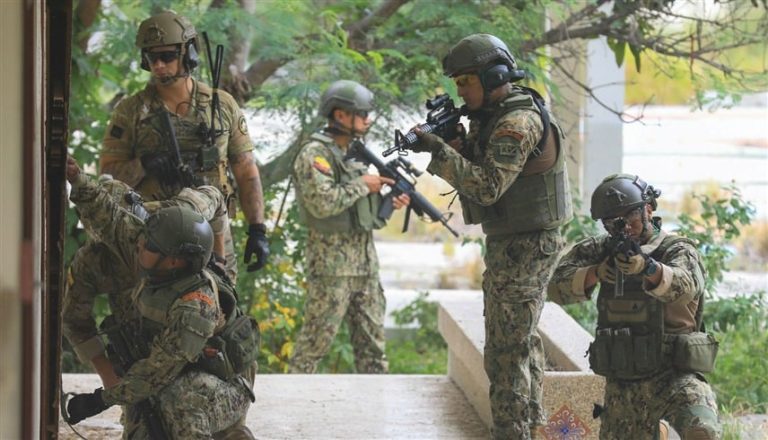 صورة المقالة