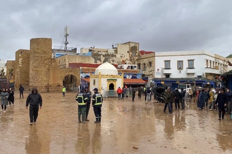 صورة المقالة