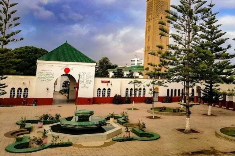 صورة المقالة