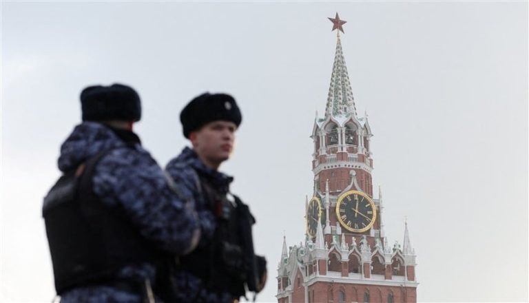 صورة المقالة