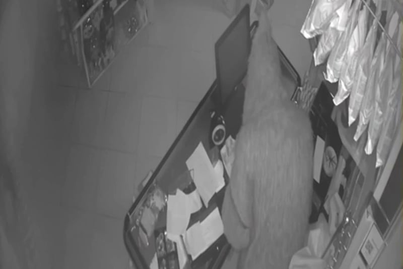 تأمين وزان: جهود الشرطة القضائية في مكافحة السرقات بالكسر تعيد الهدوء للمدينة