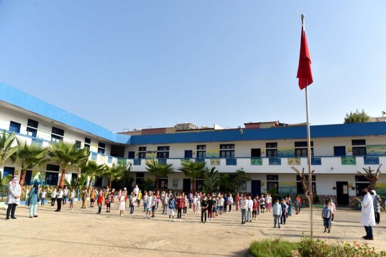 صورة المقالة