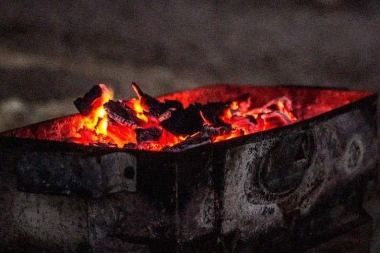 صورة المقالة