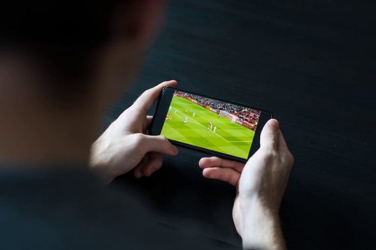 صورة المقالة