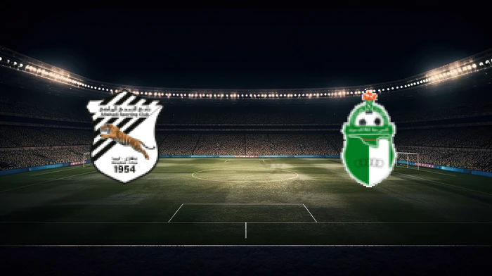 صورة المقالة