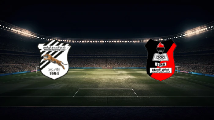 صورة المقالة