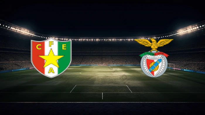 صورة المقالة