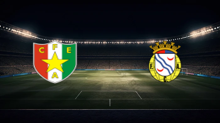 صورة المقالة