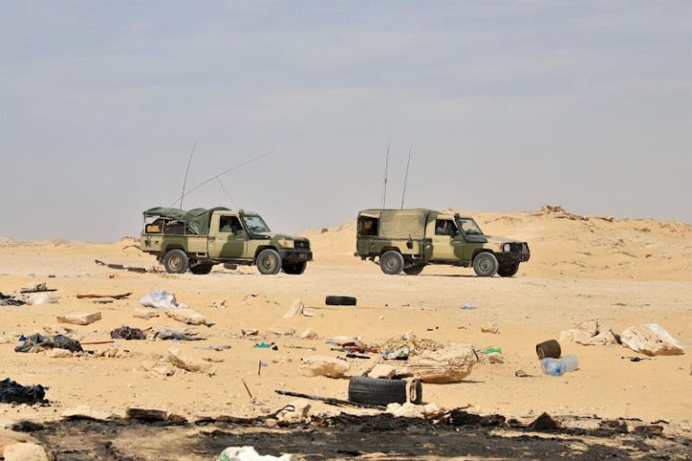 صورة المقالة