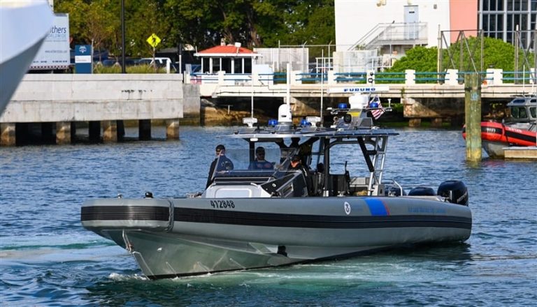 صورة المقالة