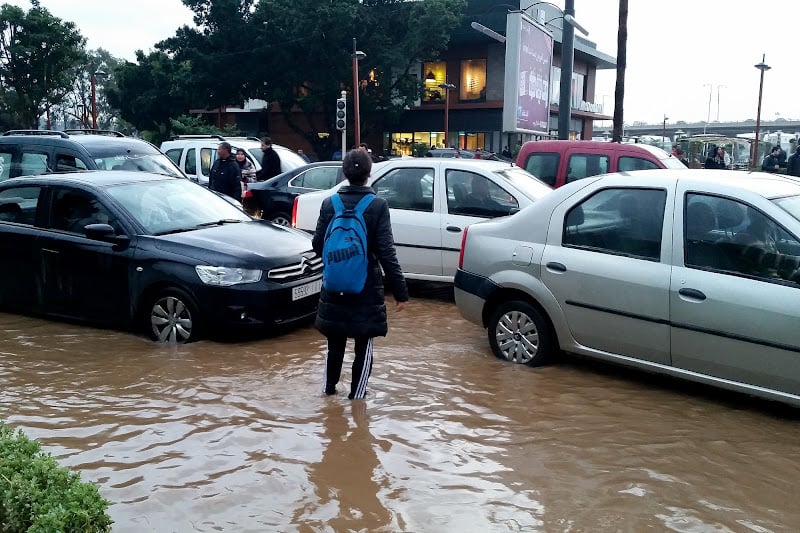 تكافؤ الفرص التعليمية في مهب الريح: تحديات تعليق الدراسة والحلول الرقمية المقترحة