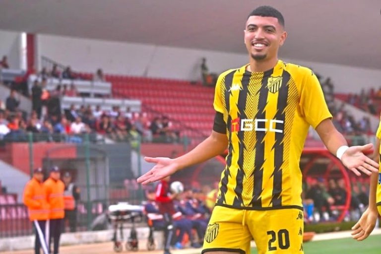 صورة المقالة