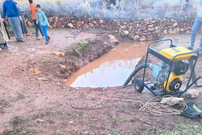 صورة المقالة