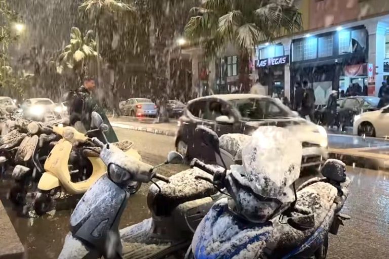 صورة المقالة