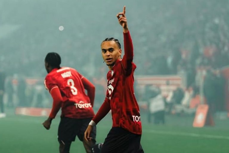 صورة المقالة