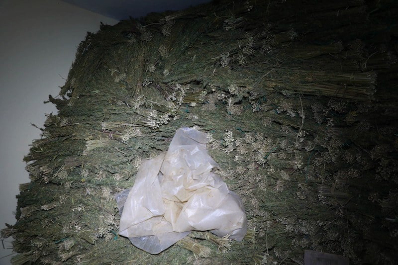 الدرك الملكي يحبط عملية تهريب كبرى: طن من القنب الهندي يُحجز بإقليم العرائش وتوقيف متورطين