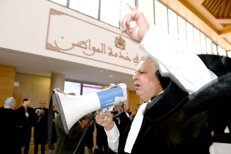 صورة المقالة