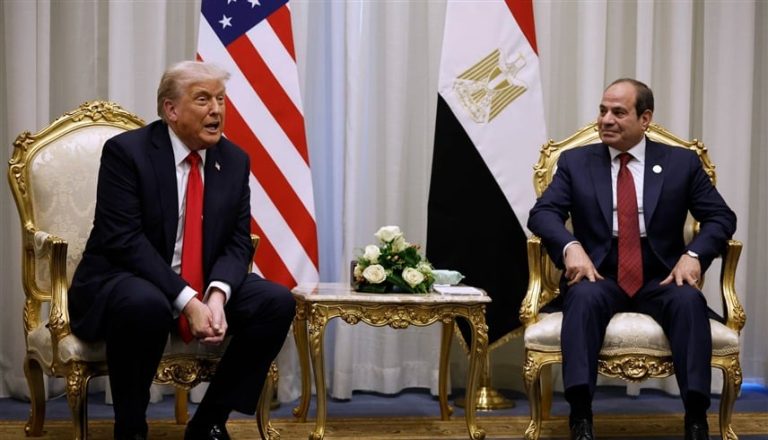 صورة المقالة