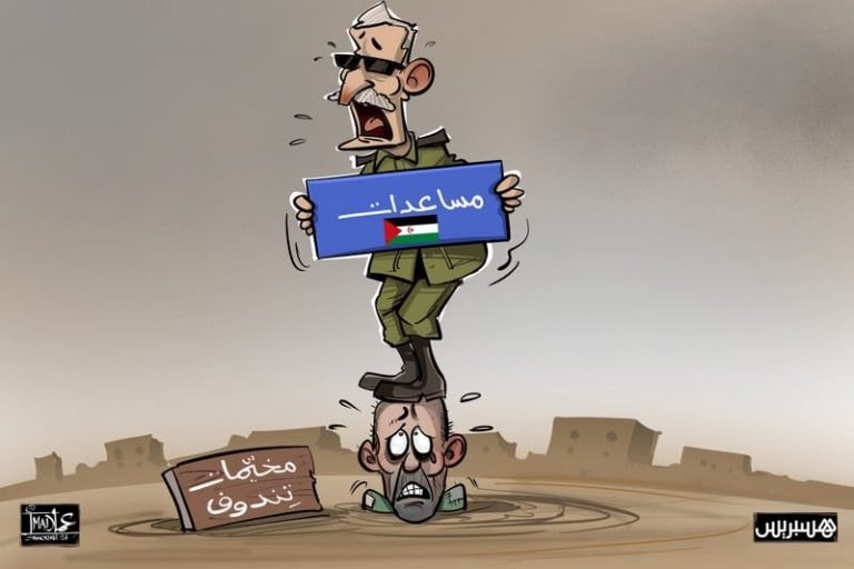 صورة المقالة