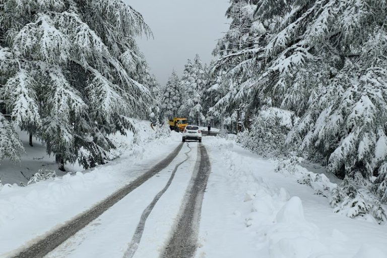 صورة المقالة