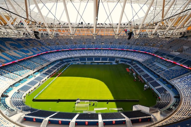 صورة المقالة