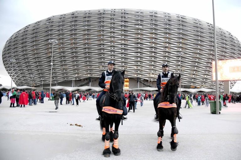 صورة المقالة