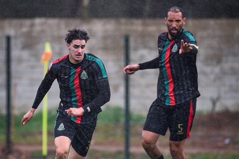 صورة المقالة