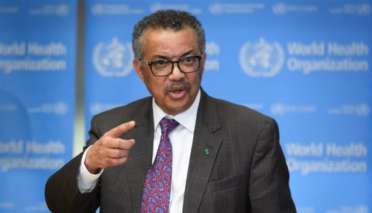 صورة المقالة