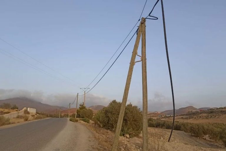 صورة المقالة