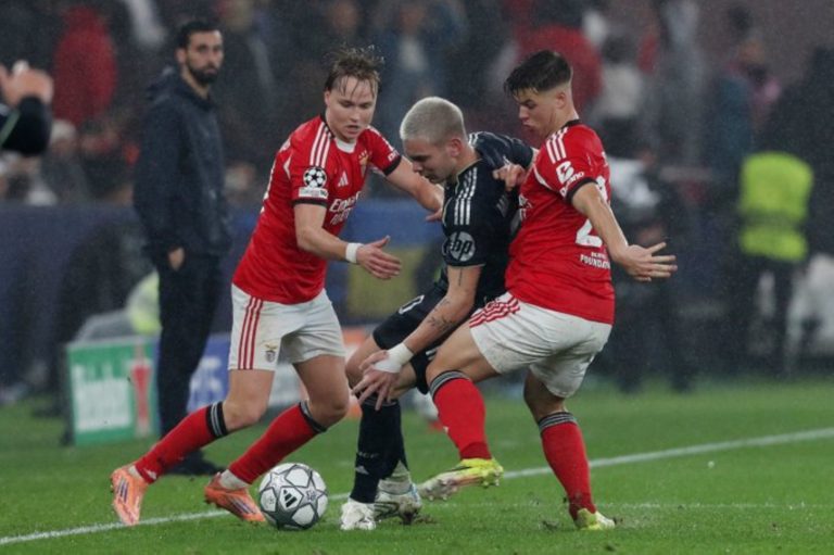 صورة المقالة