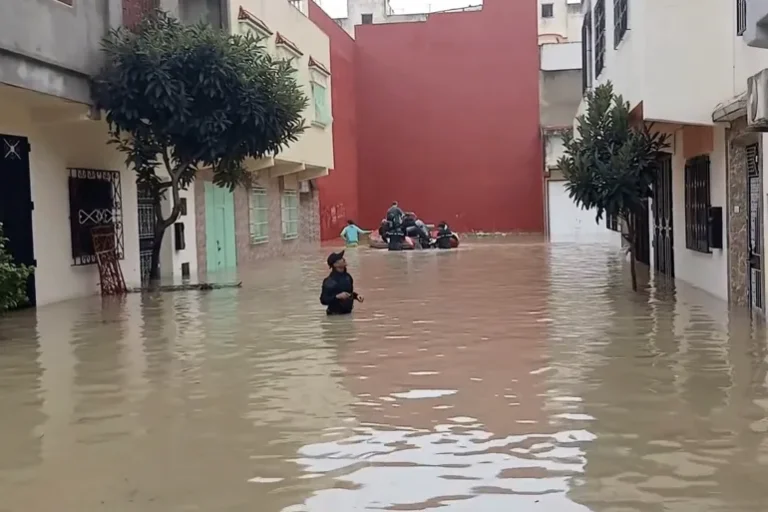 صورة المقالة