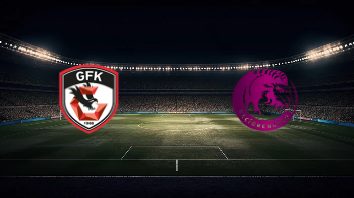 صورة المقالة