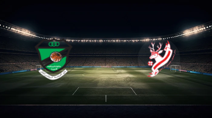 صورة المقالة