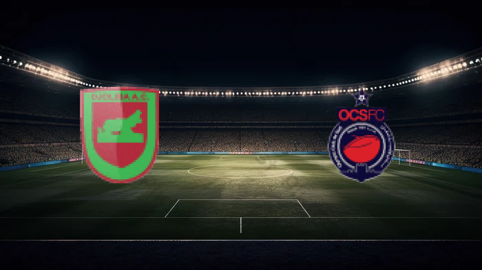 صورة المقالة