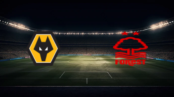 صورة المقالة