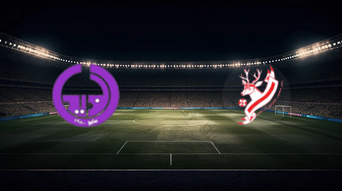 صورة المقالة