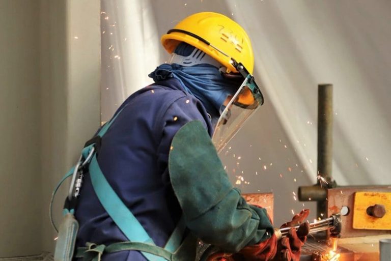 صورة المقالة