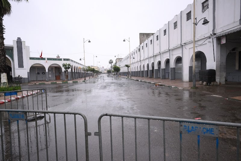 صورة المقالة