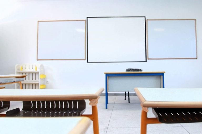 صورة المقالة