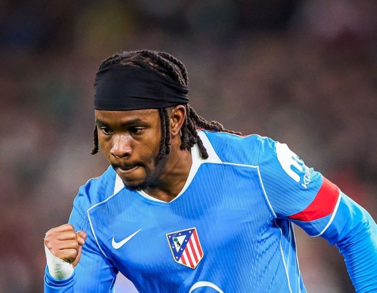 صورة المقالة