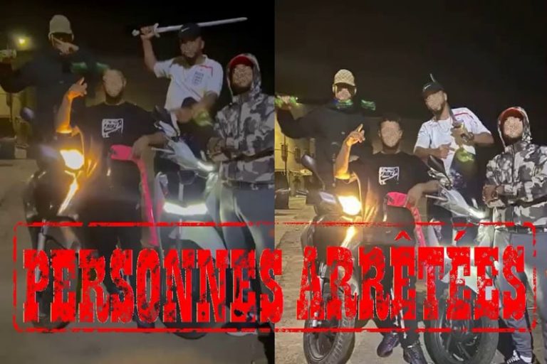 صورة المقالة