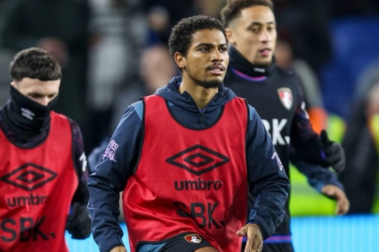 صورة المقالة