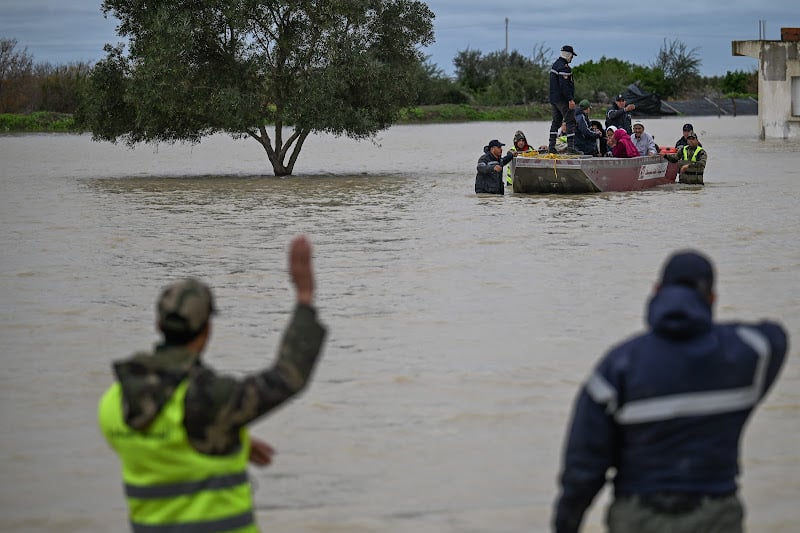 تفعيل اللغة العربية في الإدارة العمومية المغربية: جدل الهوية والتواصل في زمن الأزمات