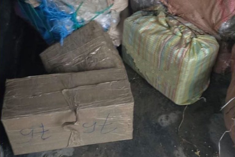 صورة المقالة