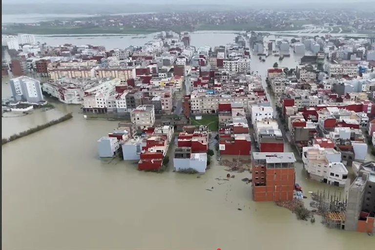 صورة المقالة