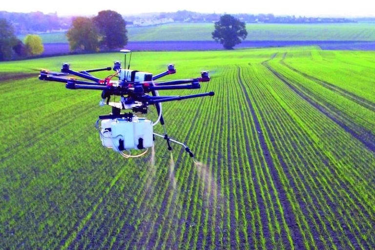 صورة المقالة