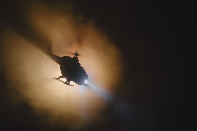 صورة المقالة